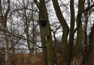 Een houten vogelhuisje aan een boom, omringd door kale bomen en dor gras in een bosachtige omgeving.