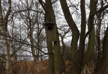 Een foto van een vogelhuisje aan een boom, omringd door kale bomen en droog gras in een bosgebied.