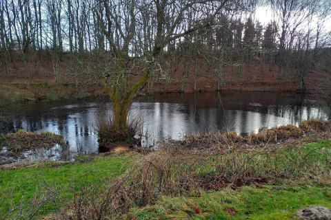 Een vredige vijver naast een lodge, omringd door kale bomen en gras in een winters landschap.