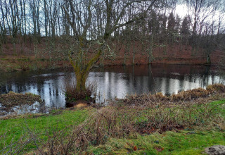 Een vredige vijver naast een lodge, omringd door kale bomen en gras in een winters landschap.