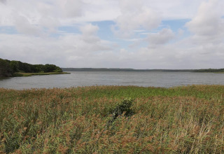 Uitzicht op een rustig meer met riet op de voorgrond en beboste oevers, genomen vanaf een lodge.