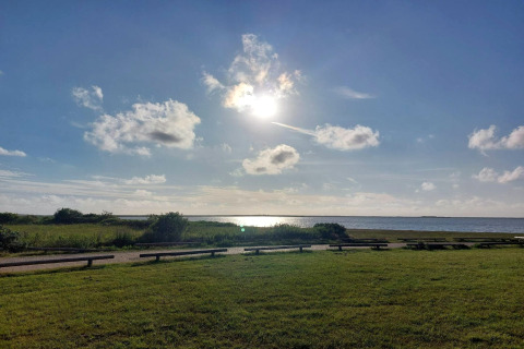 Zonnig uitzicht vanuit Secluded Harbor Cottage in Denemarken met grasveld, bankjes en blauwe lucht bij zee.