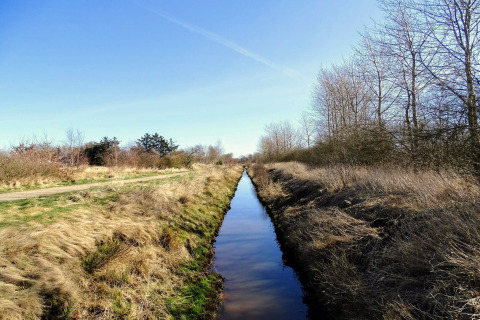 Een smalle sloot bij een lodge, omringd door droog gras en kale bomen onder een heldere blauwe lucht.