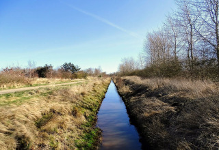 Een smalle sloot bij een lodge, omringd door droog gras en kale bomen onder een heldere blauwe lucht.