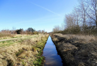 Ein schmaler Wassergraben bei einer Lodge, umgeben von trockenem Gras und kahlen Bäumen im Sonnenschein.