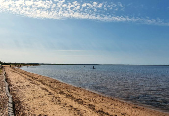 Strand med roligt vand og klare himmel ved Secluded Harbor Cottage, Danmark, med folk på paddleboards.