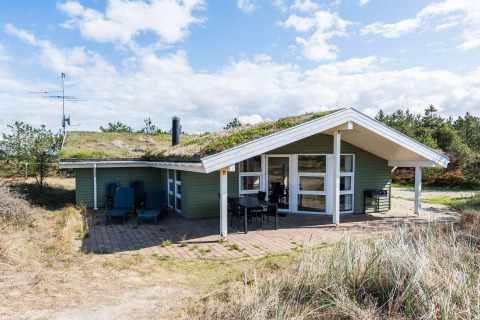 Foto van 6-persoons vakantiehuis in Blåvand, Denemarken, met grasdak en terras in de natuur.