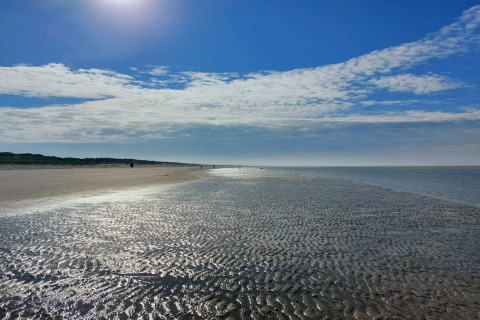 Spiaggia soleggiata con bassa marea vicino alla casa vacanze per 6 persone a Blåvand, Danimarca, cielo e nuvole.