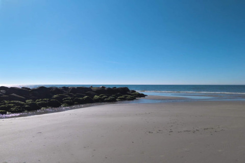 Vista su una spiaggia tranquilla e il mare vicino alla casa vacanze per 6 persone a Blåvand, Danimarca.