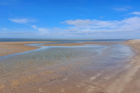 Spiaggia con bassa marea e cielo azzurro vicino a una casa vacanze 6 posti a Blåvand, Danimarca.