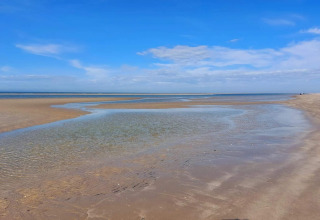 Strand bij eb met blauwe lucht in de buurt van 6-persoons vakantiehuis in Blåvand, Denemarken.