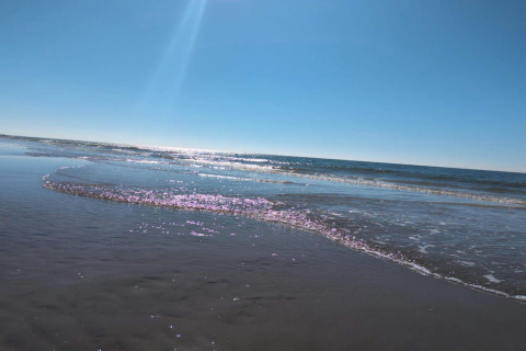 Foto della spiaggia presso la casa vacanze per 6 persone a Blåvand, Danimarca, cielo sereno e mare calmo.