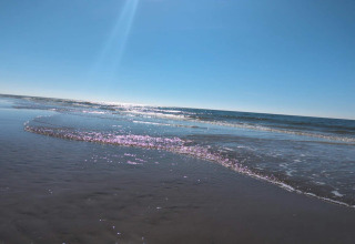 Foto della spiaggia presso la casa vacanze per 6 persone a Blåvand, Danimarca, cielo sereno e mare calmo.