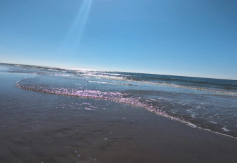 Strandaufnahme beim Ferienhaus „6 Personen Ferienhaus in Blåvand“, Dänemark, sonnig mit klarem Meer.