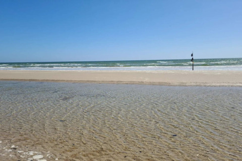 Strandzicht vanaf 6-persoons vakantiehuis in Blåvand, Denemarken, met zand, ondiep water en zee.