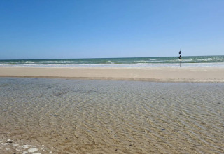 Strandzicht vanaf 6-persoons vakantiehuis in Blåvand, Denemarken, met zand, ondiep water en zee.