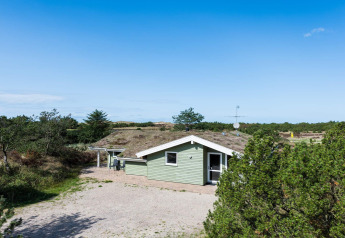 Maison de vacances verte à Blåvand, Danemark, entourée de nature sous un ciel bleu éclatant.