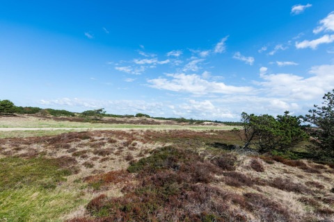 Landschaftsansicht nahe der 6-Personen-Ferienwohnung in Blåvand, Dänemark, mit blauem Himmel.