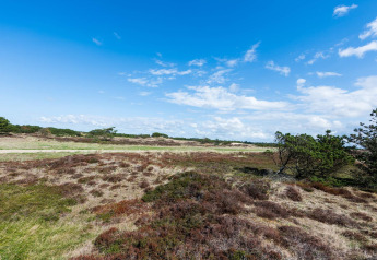 Paysage naturel près de la maison de vacances pour 6 personnes à Blåvand, Danemark, sous ciel bleu.