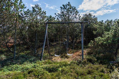 Altalena doppia in una foresta verde vicino a una casa vacanza a Blåvand, Danimarca, sotto il cielo sereno.