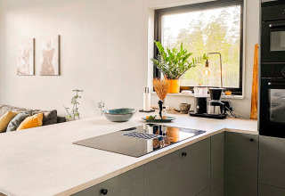 Moderne køkkenbordplade med kogeplade, grønne planter og stort vindue i Cozy Sea House, Sverige.