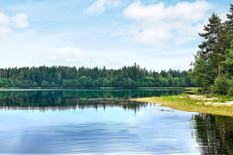 Fredelig udsigt over en sø med rolige vande og grønne skove, taget fra Cozy Sea House i Sverige.