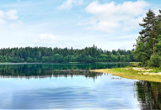 Fredelig udsigt over en sø med rolige vande og grønne skove, taget fra Cozy Sea House i Sverige.