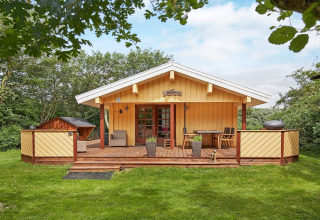 Gezellig kusthuisje in Denemarken met houten terras, grasveld en omgeven door bomen.