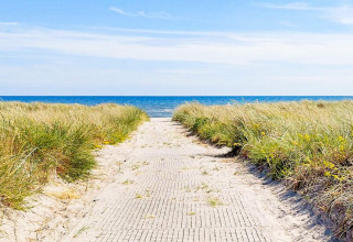 Sendero entre dunas hacia el mar en una casa de vacaciones para 10 personas en Sæby, Dinamarca, en día soleado.