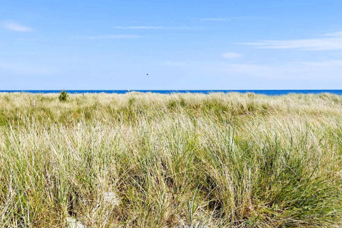 Vista dalla casa vacanze per 10 persone a Sæby, Danimarca, con dune, erba e mare sotto cielo blu.