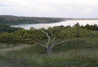 Uitzicht op rivier en groen landschap vanuit Cozy Coastal Cottage Retreat in Denemarken, boom op voorgrond.