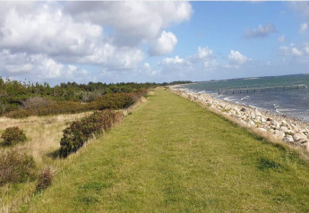 Küstenweg mit Gras und Steinen, Meer rechts und Büsche links, bei Cozy Coastal Cottage Retreat in Dänemark.