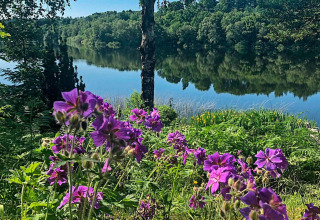 Vista desde una casa de vacaciones para 6 personas en Bryrup, Dinamarca, con flores moradas y lago.