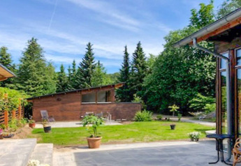 Jardín soleado del alojamiento vacacional para 6 personas en Bryrup, Dinamarca, rodeado de árboles y césped.