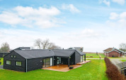 Modern zwart vakantiehuis voor 8 personen in Sydals, Denemarken, met groen gazon en houten terras.