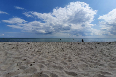View from 8 person holiday home in Sydals, Denmark, showing sandy beach, calm sea, and blue sky.