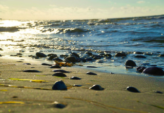 Keienstrand in zonlicht bij 8-persoons vakantiehuis in Sydals, Denemarken, uitkijkend over de zee.