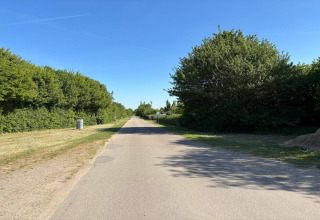 Route ensoleillée bordée d’arbres verts près d’une maison de vacances pour 8 personnes à Sydals, Danemark.