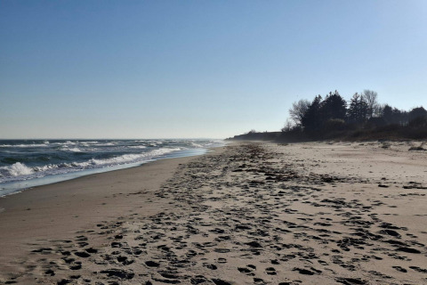 Ampia spiaggia sabbiosa con impronte vicino a una casa vacanze per 8 persone a Sydals, Danimarca al sole.