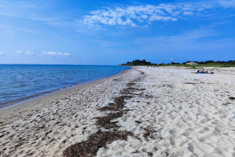 Plage de sable près du « gîte 8 personnes à Sydals », Danemark, avec mer calme et ciel bleu.