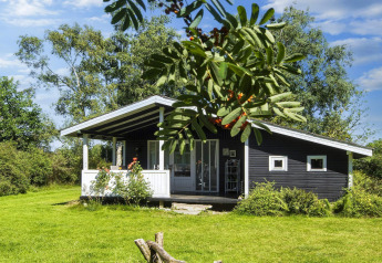 Atractiva cabaña negra con terraza rodeada de vegetación, alojamiento para 6 en Glesborg, Dinamarca.