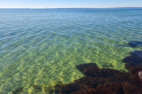 Vue sur l’eau claire devant une maison de vacances pour 4 personnes à Knebel, Danemark, soleil brillant.