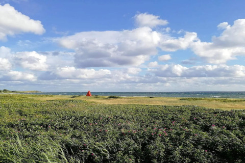 Vue sur le champ et la mer sous ciel bleu nuageux depuis une maison de vacances 4 personnes à Knebel, Danemark.