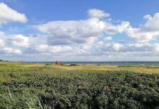 Vista de campo y mar con cielo azul y nubes desde casa de vacaciones para 4 personas en Knebel, Dinamarca.