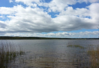 Uitzicht op een meer met riet en wolken vanaf het 6-persoons vakantiehuis in Ebeltoft, Denemarken.