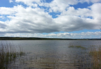 Vista di un lago con canne e nuvole dalla casa vacanza 6 persone a Ebeltoft, Danimarca, in una giornata serena.