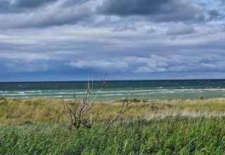 View from a lodge overlooking the sea with tall grasses in the foreground and dramatic clouds above.