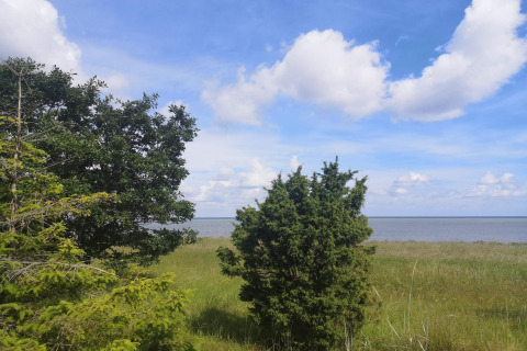 Scenic view from a lodge of grassy field, trees, and calm sea beneath a blue sky with clouds.