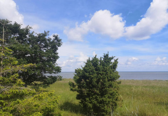 Scenic view from a lodge of grassy field, trees, and calm sea beneath a blue sky with clouds.