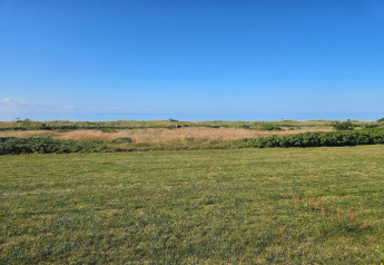 Vista desde una cabaña hacia un campo verde, arbustos silvestres y un cielo azul claro en el horizonte.